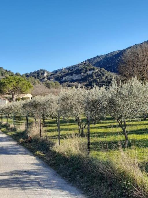 Mas Desire - Luberon - Oppede Villa Exterior foto